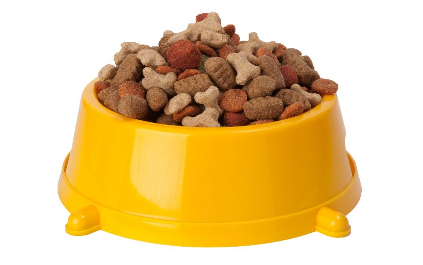 Comedouros de plástico para cães